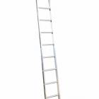 Ladamax Aluminium 150kg Single Ladder - 10" (3.0m) Was $170 Now $136 | Ladamax Aluminium 150kg Single Ladder - 10" (3.0m) Was $170 Now $136 | Ladamax Aluminium 150kg Single Ladder - 10" (3.0m) Was $170 Now $136