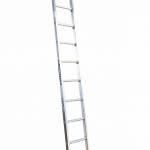 Ladamax Aluminium 150kg Single Ladder - 12" (3.6m) Was $195 Now $156 | Ladamax Aluminium 150kg Single Ladder - 12" (3.6m) Was $195 Now $156 | Ladamax Aluminium 150kg Single Ladder - 12" (3.6m) Was $195 Now $156