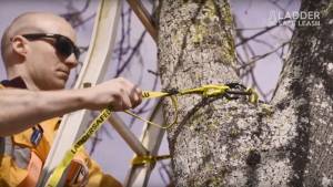 Ladder Safe Leash