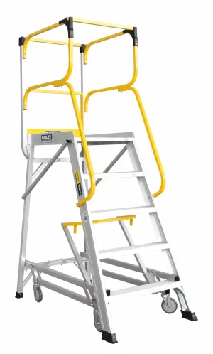 Order Picking Ladders